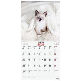 Calendario (2026) Finocam Pared Imagenes Mensual Para Escribir 300X300 Gatitos Precio: 8.98999992. SKU: B1EFLFXLTN