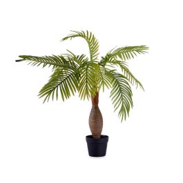 Palmera en Maceta Ibergarden - 90 cm de Alto, Maceta 15x15x14 cm Palmera en Maceta Ibergarden - 90 cm de Alto, Maceta 15x15x14 cm