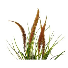 Planta Saco Grande Junco Surtidos Colores Ibergarden 13X46CM (12 Unidades) Planta Saco Grande Junco Surtidos Colores Ibergarden 13X46CM (12 Unidades)