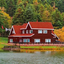 Pintura de Imprimación Bondex rouge Satinado 5 L