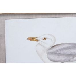 Cuadro DKD Home Decor 70 x 2,5 x 50 cm Tradicional Pájaros (6 Piezas) Cuadro DKD Home Decor 70 x 2,5 x 50 cm Tradicional Pájaros (6 Piezas)