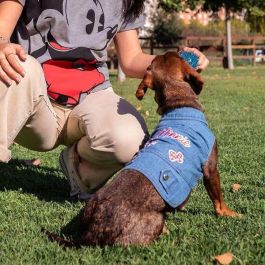 Chaqueta vaquera para perros m minnie talla m