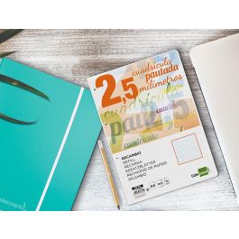 Recambio Liderpapel A4 Pautaguia 100 Hojas 75 gr-M2 Cuadriculado Pautado 2,5 mm Con Margen 4 Taladros