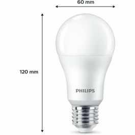 Philips PHI8719514451339 Bombilla LED A67 E27 Luz Blanca Fría No Regulable Equivalente 100W (Pack 3) Philips PHI8719514451339 Bombilla LED A67 E27 Luz Blanca Fría No Regulable Equivalente 100W (Pack 3)