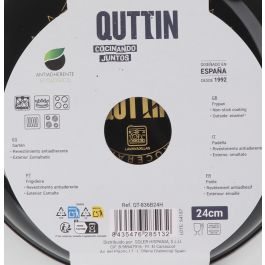 Quttin Sarten Esmaltada 24 cm Avin (6 Unidades)
