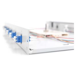 Digitus LWL Spleißbox 1HE bestückt 6x LC DX OS2 Grau - Caja de Empalme Fibra Óptica, Gris