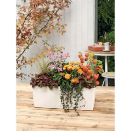 Lechuza 15670 LEC4008789156709 Jardinera Balconera Color 50 Todo en Uno Blanca