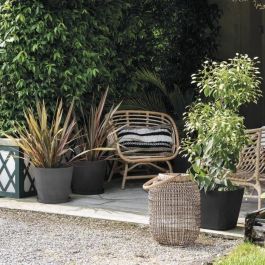 Deroma DER0191942094933 Maceta Origen 11 L Antracita