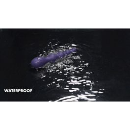 Vibrador Anal Negro Evolved Zero Tolerance Morado