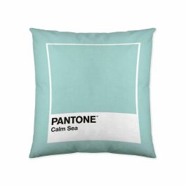 Funda de cojín Calm Sea Pantone 63836298 50 x 50 cm Precio: 7.49999987. SKU: S2805287