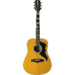 Eko Guitarra Acústica Dreadnought Ranger 6 Vr - Natural