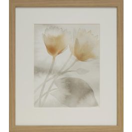 DKD Home Decor Cuadro Tradicional Lienzo Cristal Hojas Marron Claro Beige Blanco Gris 33 x 38 x 3 cm (2 Unidades) Precio: 49.73826. SKU: S3013510