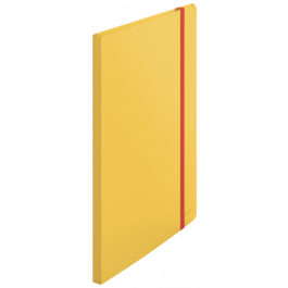 Carpeta Fundas (Tarifario) Leitz Cosy Plus Pp Flexible A4 20 F. Amarillo Precio: 6.89000015. SKU: B17DVMXDEZ