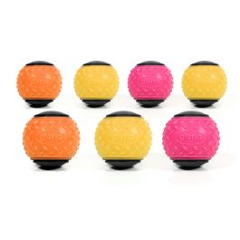 Gloria Play And Run - Caja 24 Pelotas Low Squeaker M 6.35 cm TPR Surtidas, Juguete para Perros Gloria Play And Run - Caja 24 Pelotas Low Squeaker M 6.35 cm TPR Surtidas, Juguete para Perros Precio: 47.49999958. SKU: B1FYK8M5XH