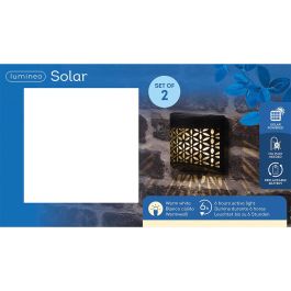 Aplique solar negro dibujo flor