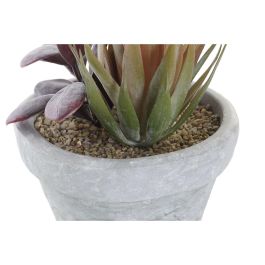 Planta Decorativa DKD Home Decor Rojo Gris Naranja EVA PE (16 x 12,5 x 19,5 cm) (2 Unidades)