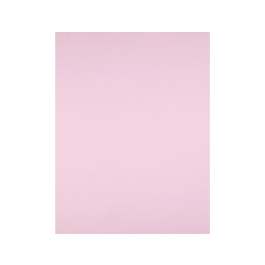 Liderpapel Cartulina 50x65 cm 240 g/m2 Rosa para Dibujo y Manualidades