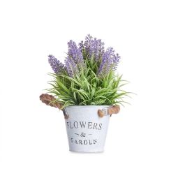 Planta Lavanda Bote Metal 25Cm Ibergarden (12 Unidades) Planta Lavanda Bote Metal 25Cm Ibergarden (12 Unidades)