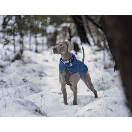 Red Dingo Abrigo para Perro Puffer Jacket Reversible Neopreno Acolchado Ligero Resistente al Viento Reflectante Azul-Turquesa 50 cm