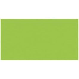 Iris Cartulina 50x65 cm 250 gr Verde Fluor - 25 unidades Precio: 23.50000048. SKU: S8410525