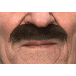 My Other Me Bigote Castaño Multicolor Talla Única Adulto