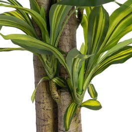 Planta Dracaena Verde Poliester 100 X 140 cm