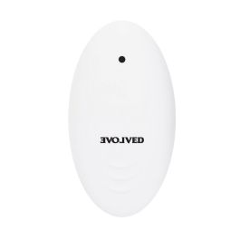 Vibrador Anal Negro Evolved