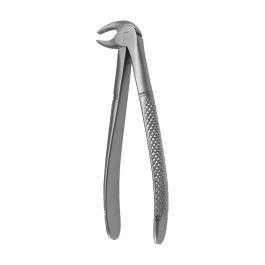 Covetrus Forceps 500 N13 Pinzas de extracción para premolares Precio: 77.59000007. SKU: B1EGGNLPDS