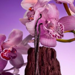 Calvin Klein Euphoria Bold Elixir - Perfume de Mujer EDP Vaporizador 100ml