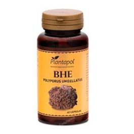 PLANTAPOL Polyporus + Escaramujo 60 Cápsulas - Complemento Alimenticio con Vitamina C Precio: 31.5000004. SKU: B1HMS5NRCH