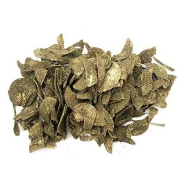 Nayeco Woodchuck Chips Betulla And Equinacea 100 gr