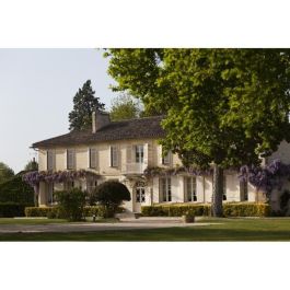 Château La Croix Montlabert 2016 Saint-Emilion Grand Cru - Vino tinto de Burdeos Château La Croix Montlabert 2016 Saint-Emilion Grand Cru - Vino tinto de Burdeos