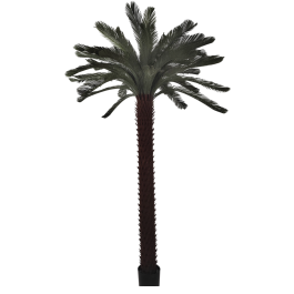 DKD Home Decor Planta Verde Marron 180 x 300 x 180 cm Precio: 478.94999966. SKU: B15DEDV4CQ