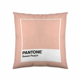 Funda de cojín Sweet Peach Pantone 50 x 50 cm Precio: 7.49999987. SKU: S2805288