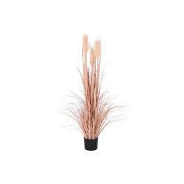 DKD Home Decor Planta Coral Negro 35 x 120 x 35 cm (2 Unidades) Precio: 55.78999998. SKU: B14WBLYKMV