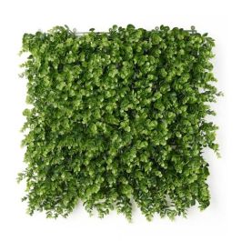 Jardín Vertical Ibergarden Verde Plástico Hojas 50 x 50 cm Precio: 14.49999991. SKU: B1K9WEYYZV