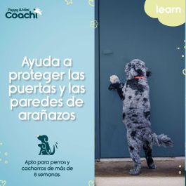 Arnés para Perro Coachi Arnés para Perro Coachi