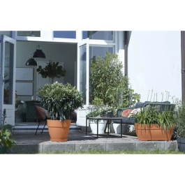 Elho Vibia Campana Terrasse 80 Jardinera Marrón L 77 x B 35 x H 33 cm Exterior 100% Reciclado