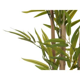 Ibergarden Planta con Maceta Bambú Pequeño 120 cm, Maceta 15x15x13 cm, Verde
