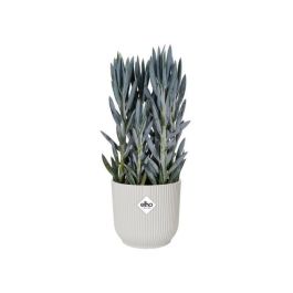 ELHO Vibes Fold Macetero redondo Ruedas 35 - Blanco - Ø 35 x H 32 cm - interior - 100% reciclado ELHO Vibes Fold Macetero redondo Ruedas 35 - Blanco - Ø 35 x H 32 cm - interior - 100% reciclado