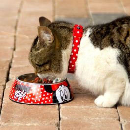 Comedero para perro m minnie t3m:m Comedero para perro m minnie t3m:m