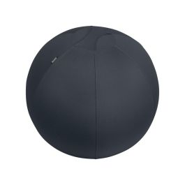 Balon De Asiento Leitz Active Sitzball Antideslizante 65 cm Color Gris Oscuro Precio: 86.79000033. SKU: B13TP9CJSJ