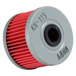 Filtro de Aceite K&N KNKN-113 Precio: 13.78999974. SKU: B1CXXBD4JR