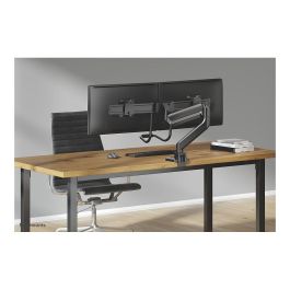 Neomounts DS75-450BL2 Brazo para Monitor de 17-32 Pulgadas, Resorte de Gas, Negro