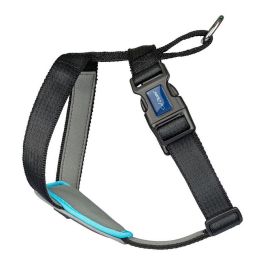 Company Of Animals Carsafe Arnés de Viaje para Perro Negro Talla M