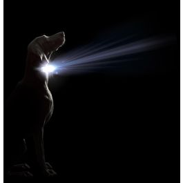 Dog Gone Smart Collar Comet Luminoso Recargable USB Talla L 51-63 cm Rojo para Perros