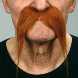 Bigote one size Precio: 7.49999987. SKU: S2418549