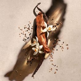 Zadig & Voltaire Eau de Parfum Estuche para Mujer 2 pz - Fragancia floral amaderada con sésamo, azahar y vainilla