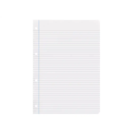 Liderpapel Recambio A4 100 Hojas 75gr Horizontal con Margen 4 Taladros