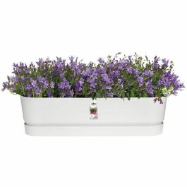 Elho ELH8711904357672 Plantera Ovalada Greenville de Plástico, 70 cm de Diámetro, Verde Hoja Elho ELH8711904357672 Plantera Ovalada Greenville de Plástico, 70 cm de Diámetro, Verde Hoja
